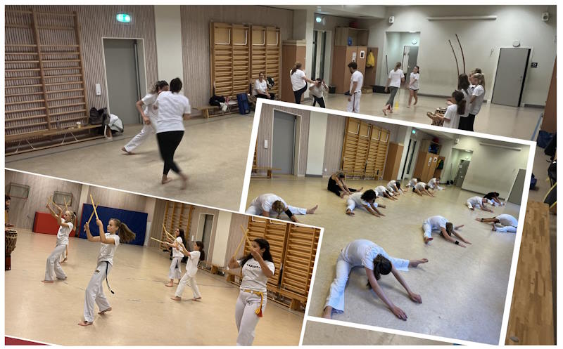 Capoeira i Göteborg för vuxna
